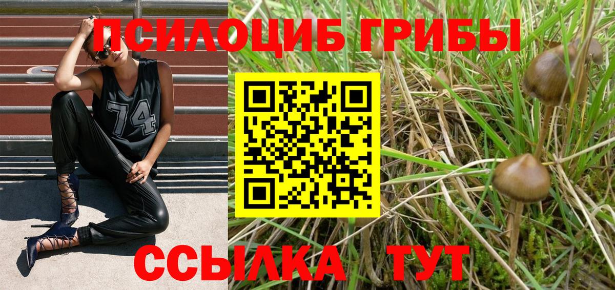 Псилоцибиновые грибы Psilocybe  Галлюциногенные грибы GOLDEN TEACHER  Вход с VPN  Сергиев Посад 